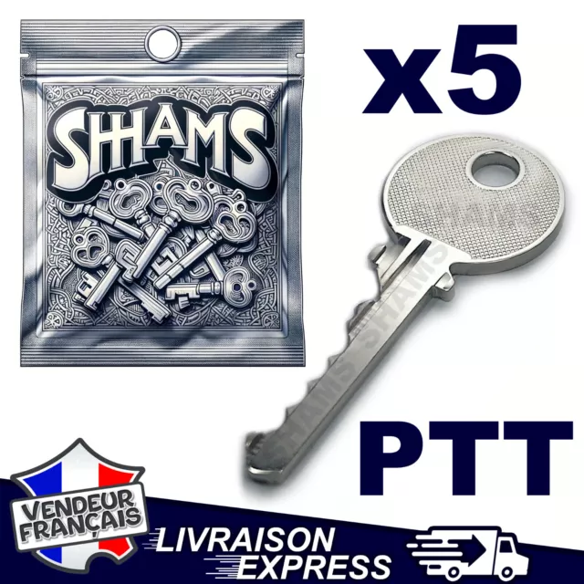 PTT-KEY - Clé Pass PTT T10, F10, Q10, R10, S10 - Clé passe partout boîte  aux lettres 