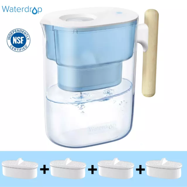 10-Tassen Wasserfilterkrug