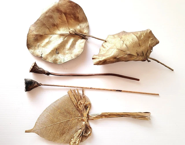 Gold sea grape leaves, gold decorated leaf, 2 eucalyptus seed heads dried flower