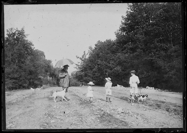 Plaque verre photo ancienne négatif noir et blanc 6x9 cm enfants chien nature