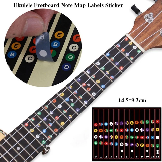 FRETS DECALS GUITAR Fretboard Notes Fretboard Note Map Ukulele Labels