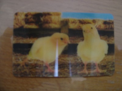 2014 Carte animée CORA Collector Animaux Animals SINGE ECUREUIL 26/44 