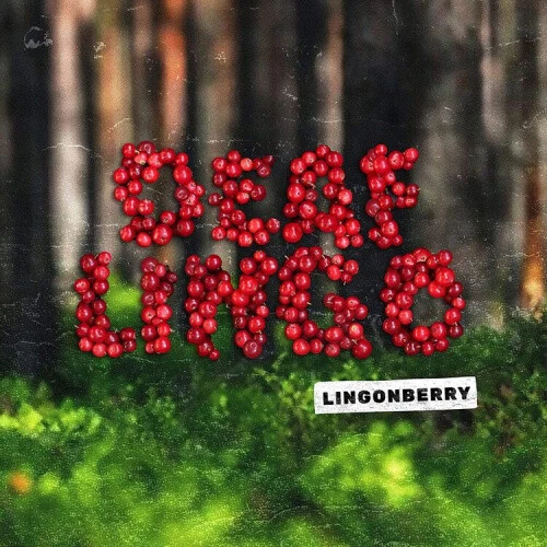 LINGONBERRY (TRANSPARENT RED VINYL) by Deaf Lingo