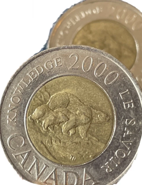 Full Roll Of Canadian Toonies / Rare Three Bears