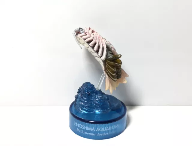 RARE Kaiyodo Aquatales Enoshima Aquarium Deep Sea Giant Isopod Figure