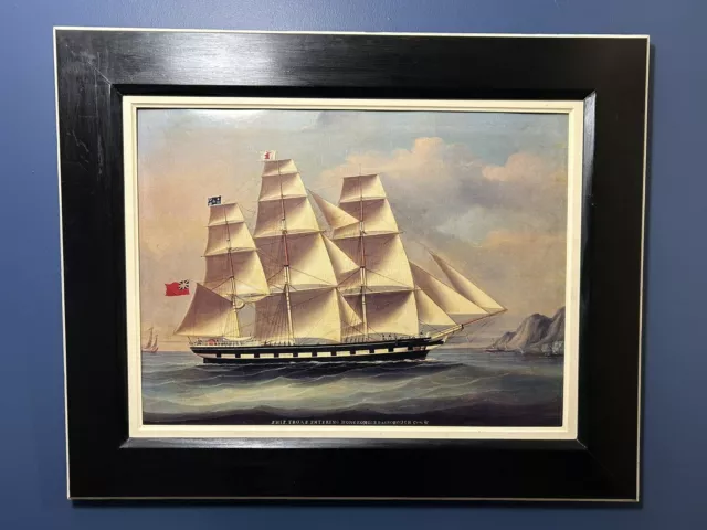 Old Framed Print British Sailing Ship ‘Troas’ Entering Hong Kong c.1864