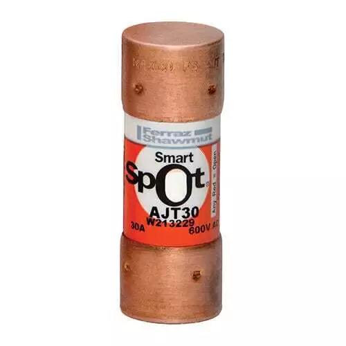 Mersen part AJT30 Desc: FUSE, CLASS J T/D (1EA)