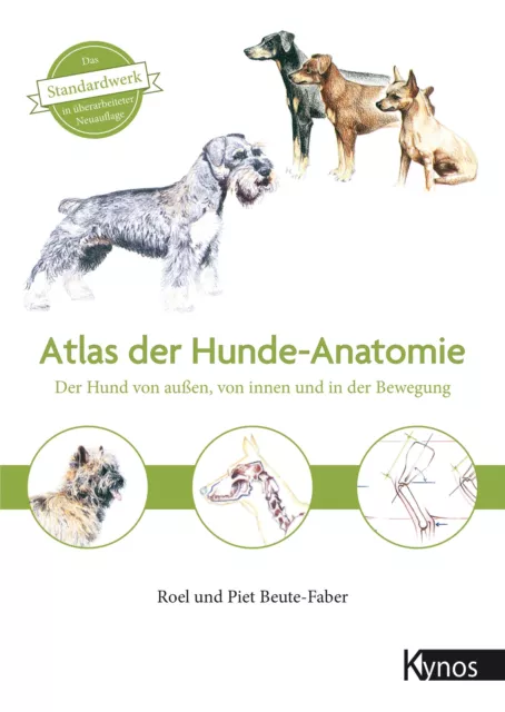 Atlas der Hundeanatomie | Roel Beute-Faber (u. a.) | Buch | 179 S. | Deutsch