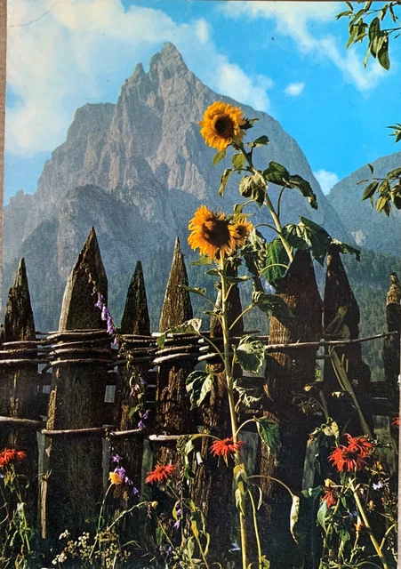 Cartolina Monte San Pietro Nova Ponente Deutschnofen Sciliar Bolzano viaggiata