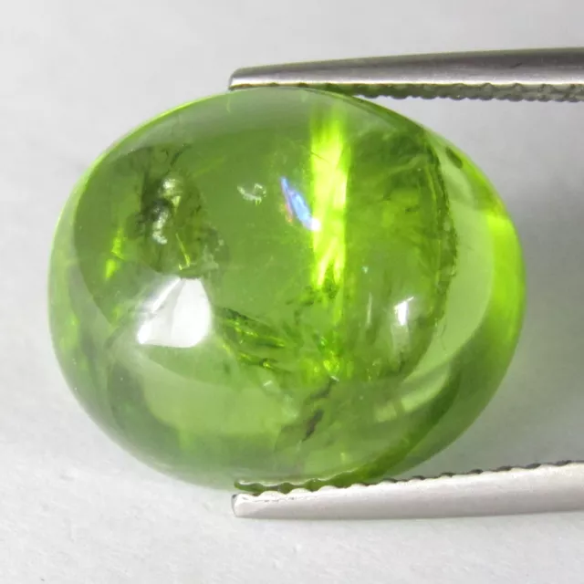 12.90Cts Amazing Natural Green Peridot Cabochon Oval Shape Collection Gemstone