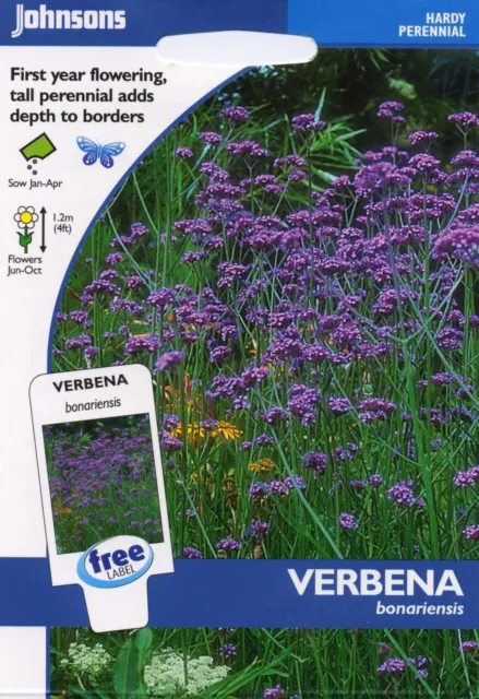 Johnsons Seeds - Pictorial Pack - Flower - Verbena bonariensis - 200 Seeds