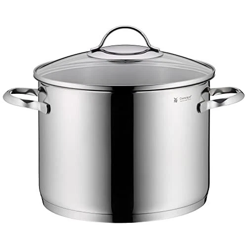 WMF Provence Plus Gemüse- Suppentopf Induktion 24cm, Glasdeckel, Kochtopf gro...