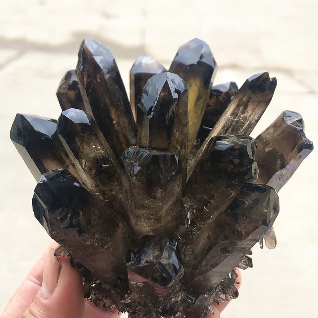 1.33lb New Find Black Phantom Quartz Crystal Cluster Mineral Specimen Healing 8