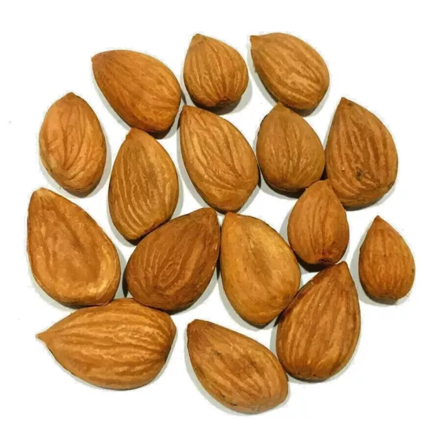 Premium Raw Apricot Kernels All Sizes Available 1-10kg Bag *Free Postage*