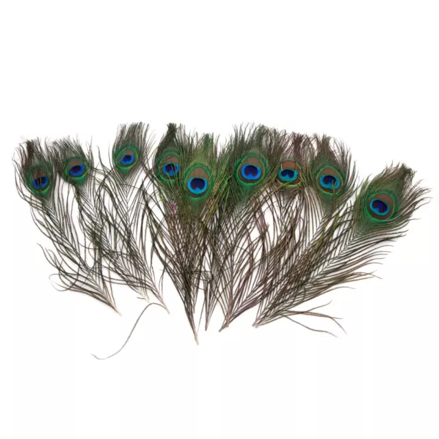 Fly Fishing Bait Tying Materials 1020pcs Peacock Tail Natural DIY Craft