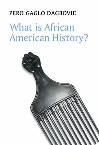 WHAT IS AFRICAN American History What Is History Dagbovie 