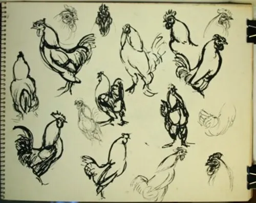#2 Maureen Love Original Sketches Chickens