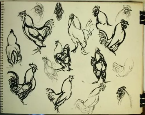 #2 Maureen Love Original Sketches Chickens #2 Maureen Love Original Sketches Chickens