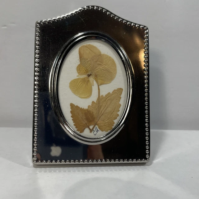 Arte floral enmarcado de flor silvestre seca prensada en marco plateado de 4""x3