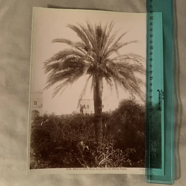 CAPRI NAPOLI PALMA ALBERGO PAGANO  foto 1880-90  originale 25,5 X 20,5 BROGI