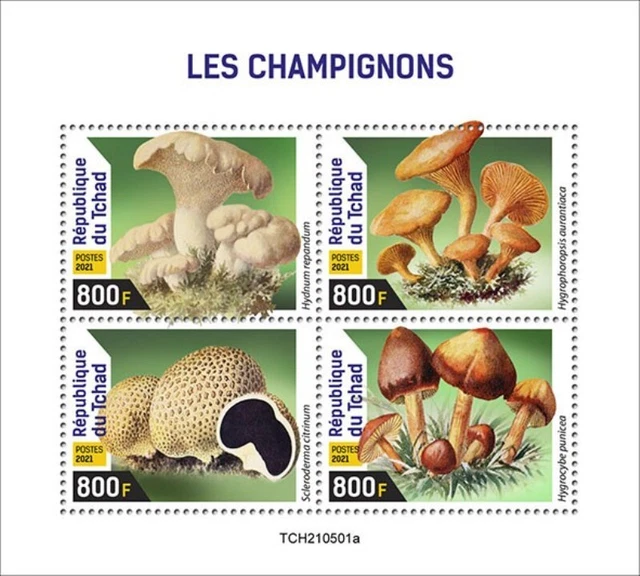 CHAD 2021 Mushrooms, Chanterelle, Scarlet Waxy Cap 4 Stamp Sheet