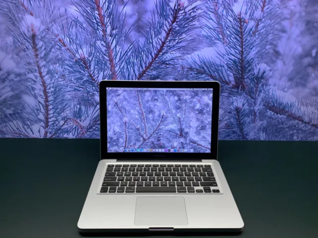 Apple Macbook Pro 13 | 16GB RAM | 1TB SSD | 2.9GHz i7  | MacOS Catalina |