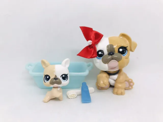 2 Littlest pet shop white tan bulldogs 3587 3588 mommy and baby lps