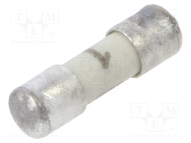 7x2mm 1A 125VDC Cuivre Rapidement Sécurité : Schmelz 125VAC