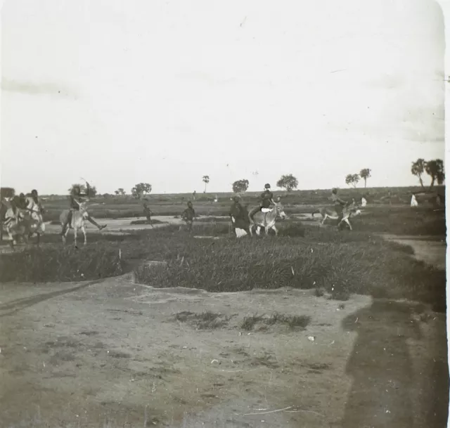 Afrique Paysage c1910 Photo Plaque de verre Stereo Vintage V34L4n