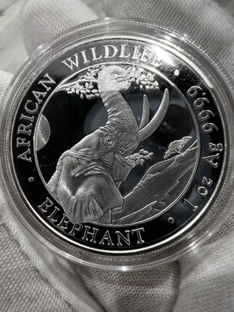 2023 Somalia (Somali Republic) Elephant 1 oz Silver Coin in capsule