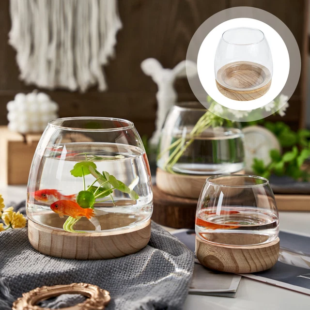 Di Legno Vaso Contenitore Per Piante Vetro Fioriera Terrari