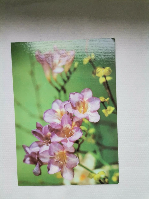 Geburtstagskarte Für Mama – Mit Blumenstrauß & Tee-Design, Silbergeprägt – Inkl. Umschlag