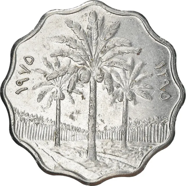 [#381709] Monnaie, Iraq, 5 Fils, 1975, TTB+, Stainless Steel, KM:141