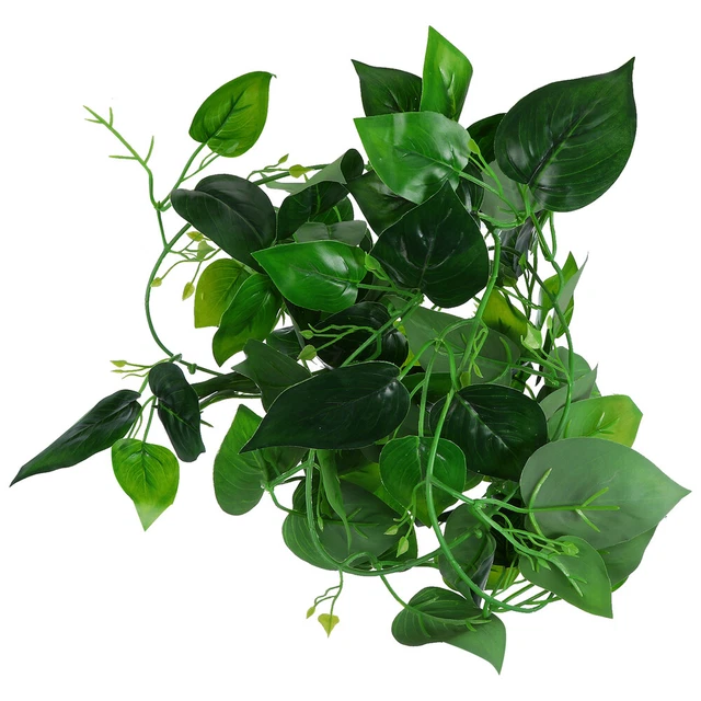 Impianto di simulazione decorazione rettili vite artificiali terrario con ventose
