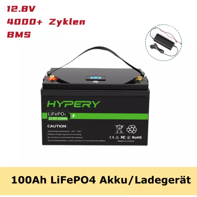Batería/cargador de litio LiFePO4 12.8V 100Ah batería BMS para autocaravana solar