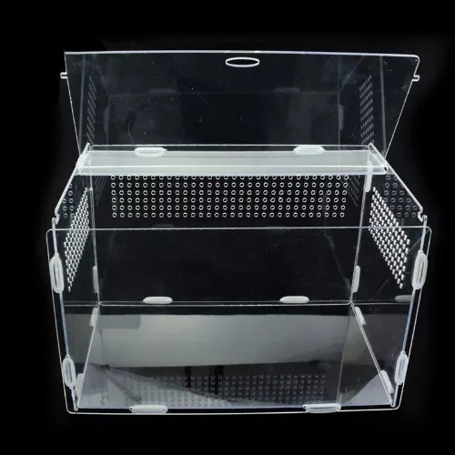 Reptile Breeding Box Acrylic Spider Transparent Insect Breathable Terrarium