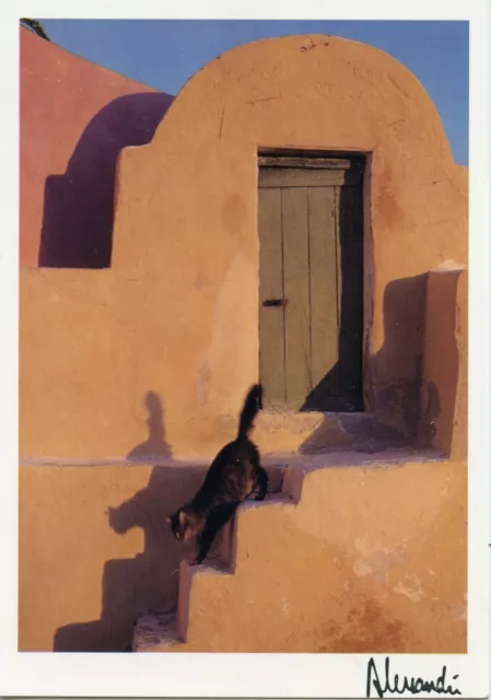 Cpsm / Carte Postale / Chat / Cat / Illustrateur // Alessandri / Time For A Walk