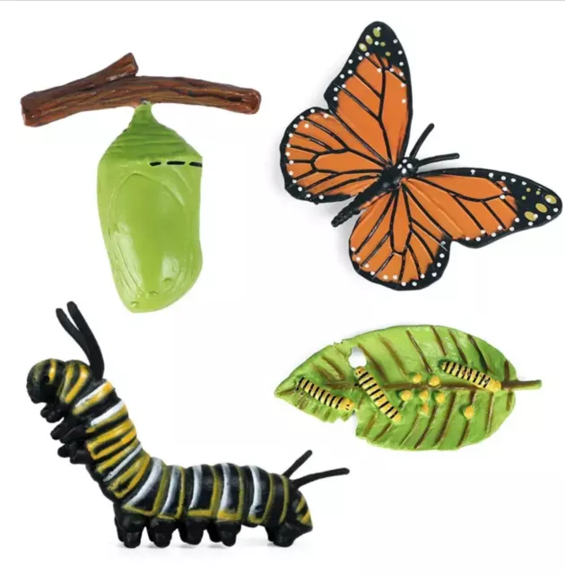 MONARCH BUTTERFLY LIFE Cycle Realistic Educational Model Toys Set ...