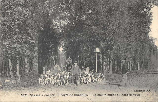 Cpa 60 Chasse A Courre Foret De Chantilly La Meute Allant Au Rendez Vous