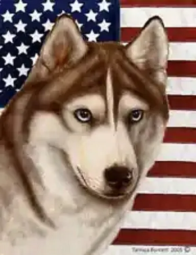 Patriotic (D2) House Flag - Blue-Eyed Red and White Siberian Husky 32439