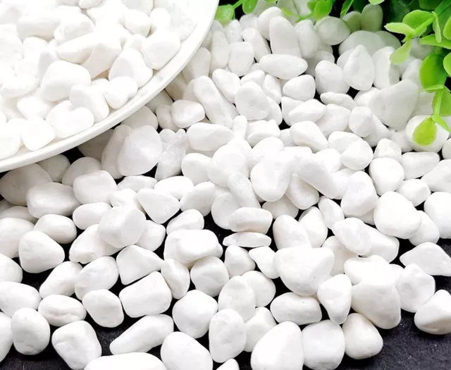 Azatemgo | 900g Gravier Blanc Naturel Pour Aquarium |Sol Décoratif Aquariophilie