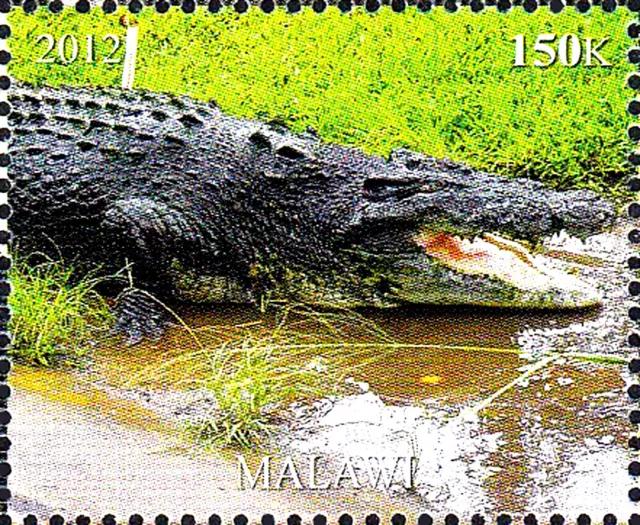 Malawi postfrisch MNH Tier Wildtier Krokodil Alligator Reptil Raubtier Fauna /30