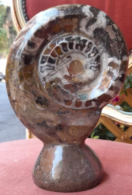 Statua Statuina In Pietra Di Ammonite A/Con Forma Di Conchiglia Con Base Fossile