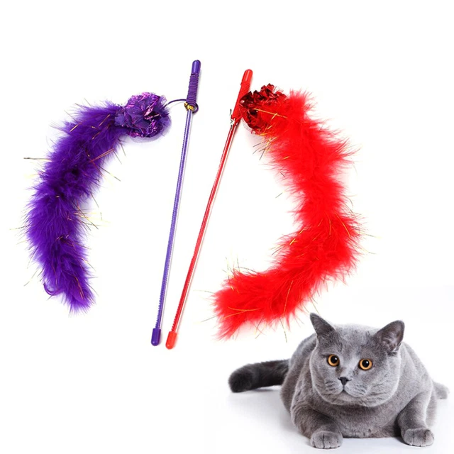 2 Pcs Bâton Teaser Pour Animaux De Compagnie Chat Interactif