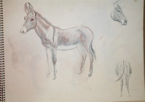 #2 Maureen Love Original Sketch Donkey #2 Maureen Love Original Sketch Donkey