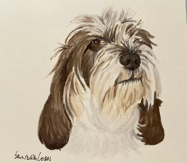 Petit Basset Griffon Vendeen Original Watercolor by Sandra Coen head study