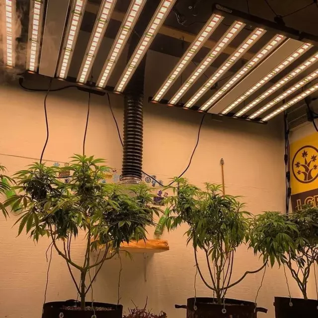 Folded 1000W LED Grow Light Commercial Full Spectrum Indoor Veg Bloom Plants Bar
