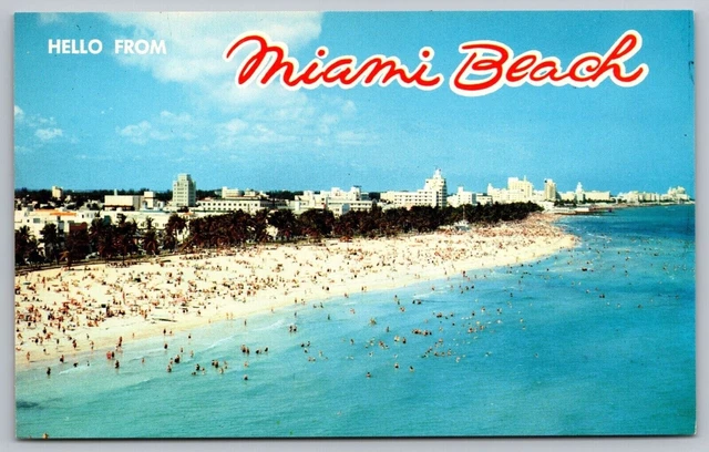Hello Miami Beach Florida Lummus Park Scenic Coastline Chrome Postcard