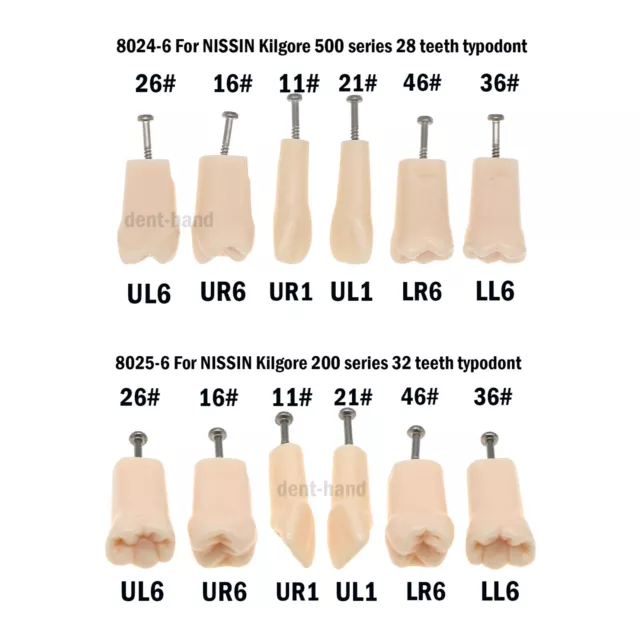Dental Replace Teeth fit Kilgore NISSIN 200/500 Type Screw-in 28/32pcs Teeth KIT