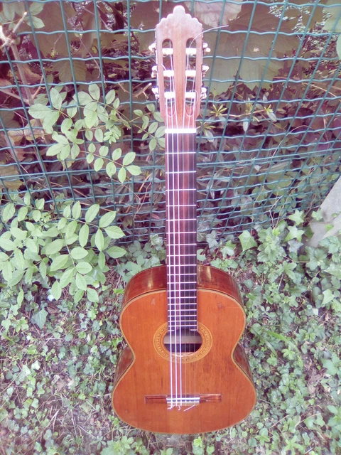 Shinano Model 53 Guitare Classique